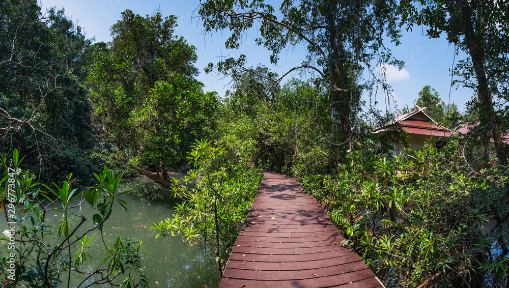 Fototapeta premium Tha Pom Klong Song Nam or Emerald Pool in Krabi Province, Thailand. Beautiful nature landscape with tranquil mangrove swamp, canals, tropical trees and wooden road through them