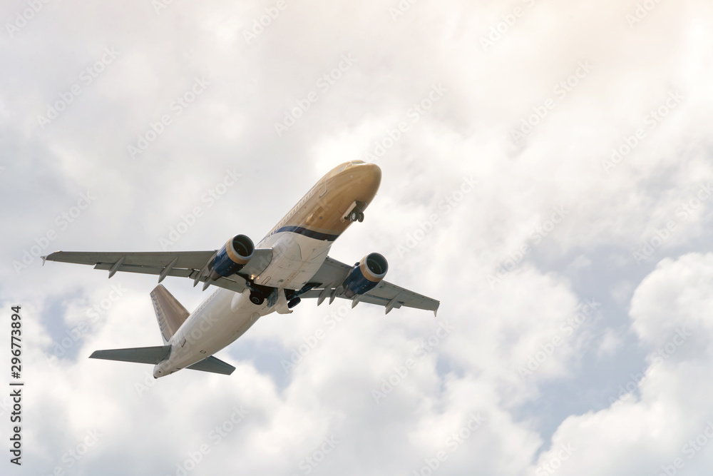 Obraz premium Aviation, travel, air transportation concept. Passengers commercial airplane or business jet flying among the clouds.