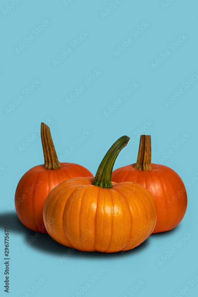 Juicy orange pumpkins on an empty solid light blue background. Juicy orange pumpkins on an empty solid light blue background.