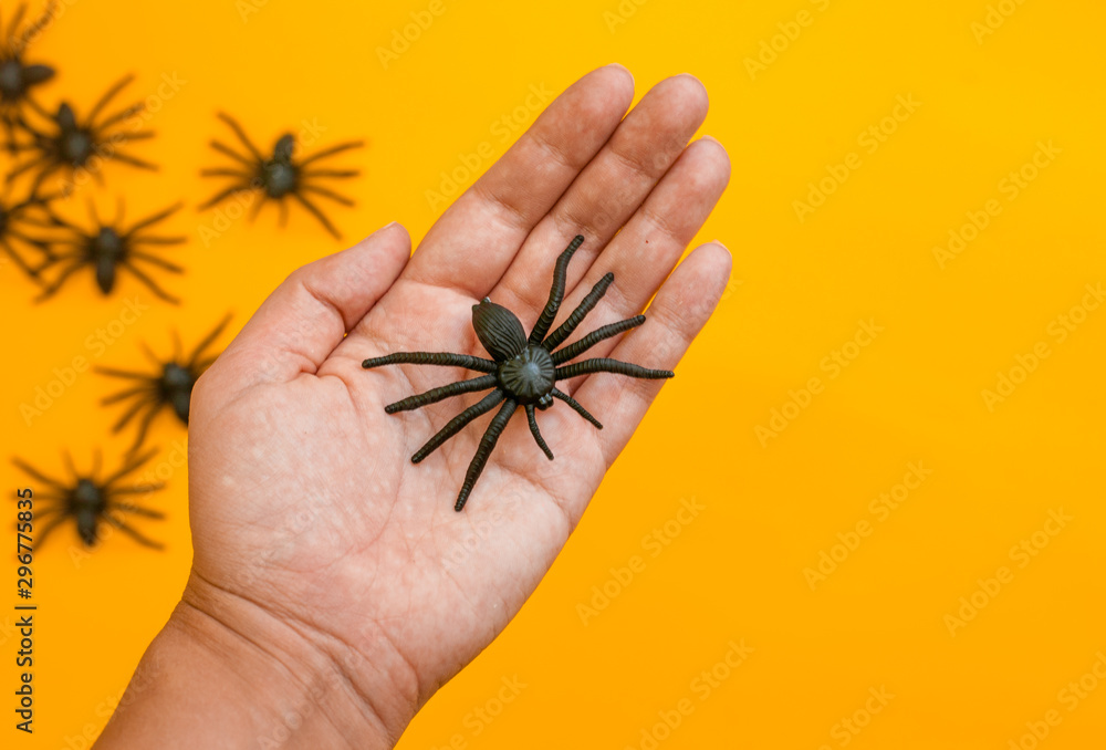 Obraz premium Halloween autumn holiday picture of hand with decorative black spiders against orange.