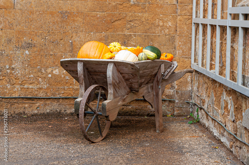 Fotografija Pumpkins and squashes in wooden barrow