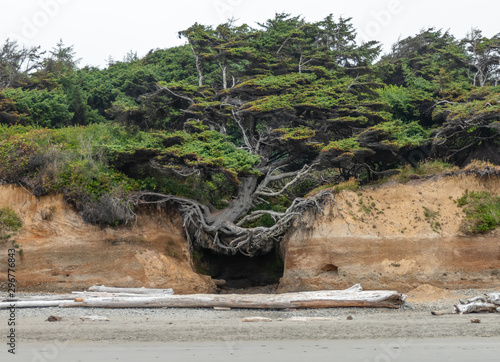Kalaloch Beach in the Olympic National Park