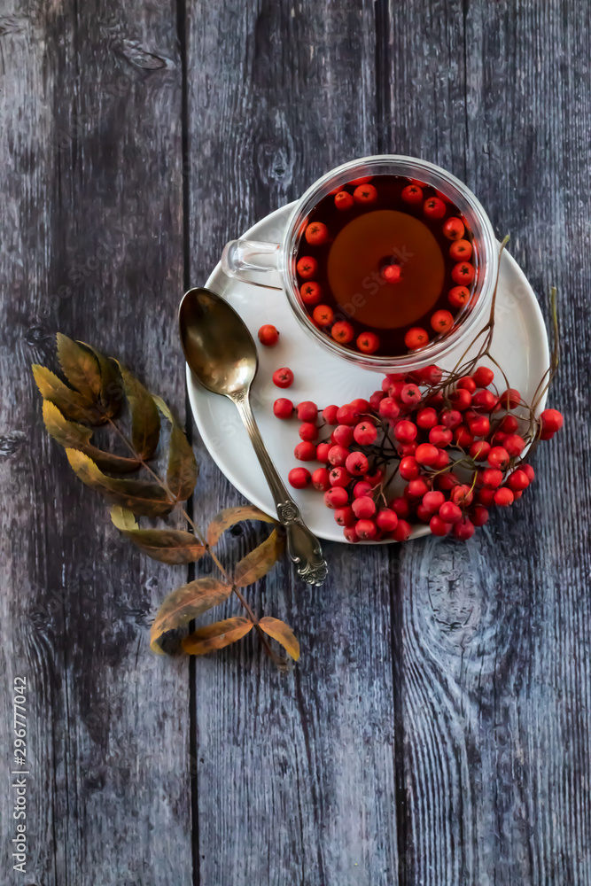 Hot healing tea, mountain ash tea. Applied with a lack of vitamins, anemia, metabolic disorders. Reduces bad cholesterol in the blood, Healing drink in a cup