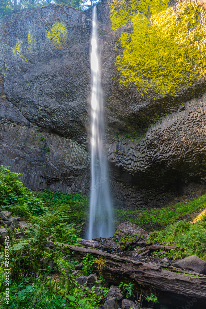 Fototapeta premium Latourell Falls, in Columbia River Gorge.