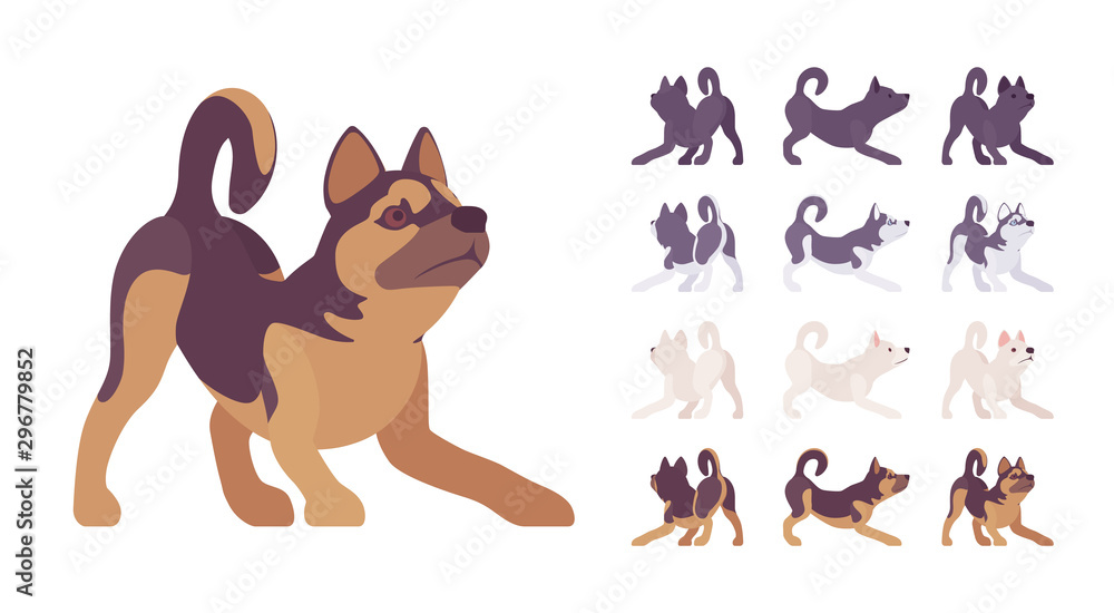Black, White dog, Husky, Shepherd playing set. Pet, family companion, home guarding, farm or police security breed. Vector flat style cartoon illustration isolated, white background, different views