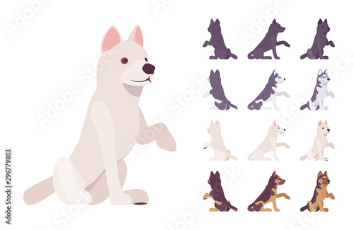 Black, White dog, Husky, Shepherd sitting set. Pet, family companion, home guarding, farm or police security breed. Vector flat style cartoon illustration isolated, white background, different views