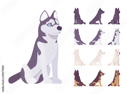 Black, White dog, Husky, Shepherd sitting set. Pet, family companion, home guarding, farm or police security breed. Vector flat style cartoon illustration isolated, white background, different views