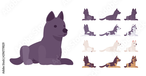Black, White dog, Husky, Shepherd lying set. Pet, family companion, home guarding, farm or police security breed. Vector flat style cartoon illustration isolated, white background, different views