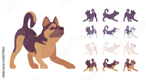 Black, White dog, Husky, Shepherd playing set. Pet, family companion, home guarding, farm or police security breed. Vector flat style cartoon illustration isolated, white background, different views