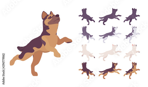 Black, White dog, Husky, Shepherd jumping set. Pet, family companion, home guarding, farm or police security breed. Vector flat style cartoon illustration isolated, white background, different views