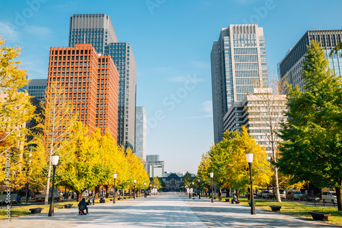Marunouchi district Gyoko-Dori avenue at autumn in Tokyo, Japan photo