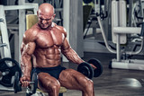 Bodybuilder Exercising With Dumbbells at the Gym