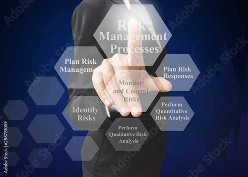 businesswoman showing presentation Principles for Risk Management Processes concept for use in training. photo