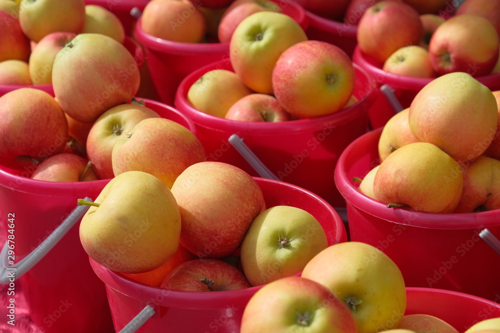 Fresh ripe apples for sale in buckets,at an outdoor market Fresh ripe apples for sale in buckets,at an outdoor market