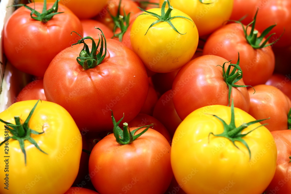 background of red and yellow tomatoes. Group of tomatoes background of red and yellow tomatoes. Group of tomatoes