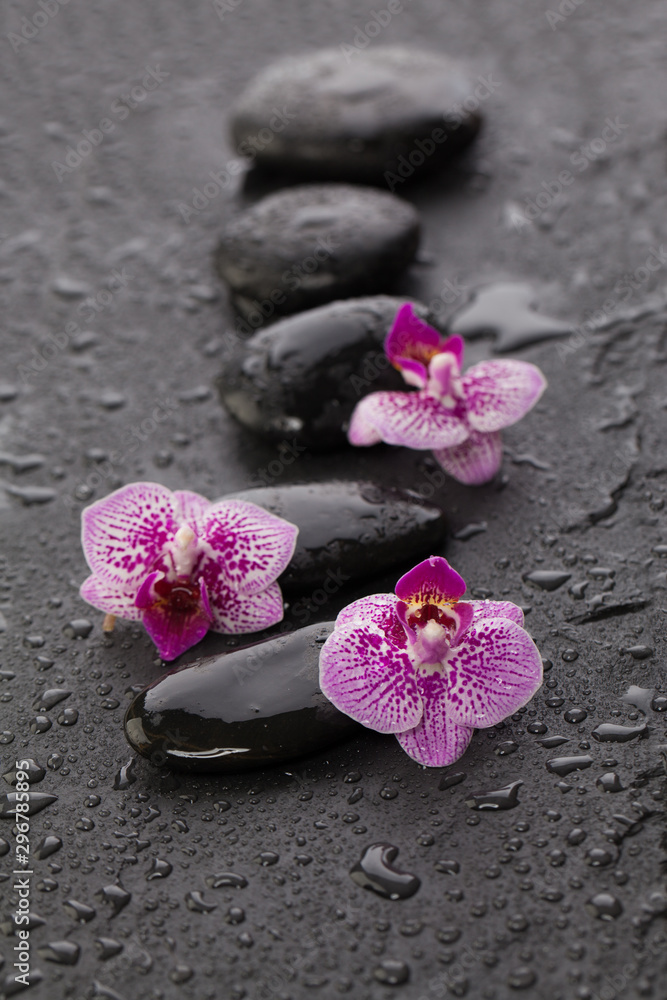 Wet zen stones and flowers on black background Wet zen stones and flowers on black background