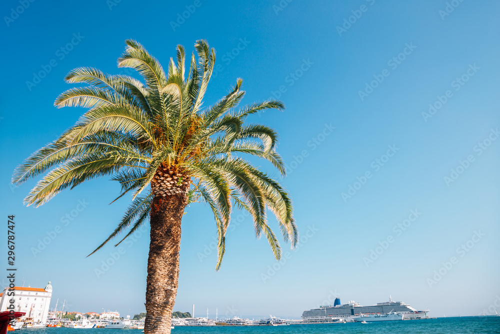 Palm tree and sea at Riva street in Split, Croatia