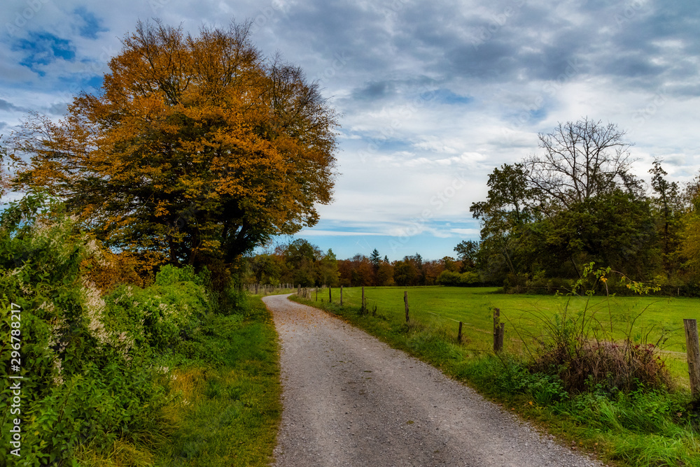 Obraz premium Feld- und Wanderweg im Herbst