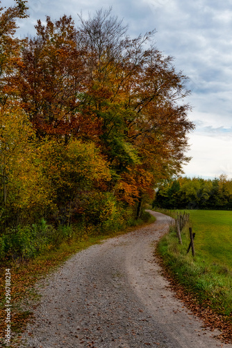 Fototapeta Naklejka Na Ścianę i Meble -  Feld- und Wanderweg im Herbst