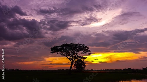 Time lapse Dramatic golden light sunset. Silhouetted trees against bonfire-red and sunflame-golden sky.