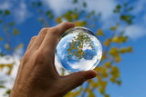 lensball autumn in mans hand hold with yellow ginko leaves blurred blue sky background