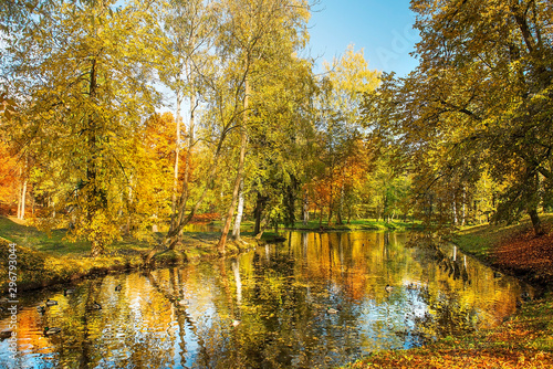 autumn landscape in the Gatchina park, public park in the Leningrad region, St. Petersburg, Russia