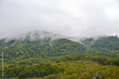 clouds over the forest 