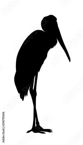 Yellow billed stork