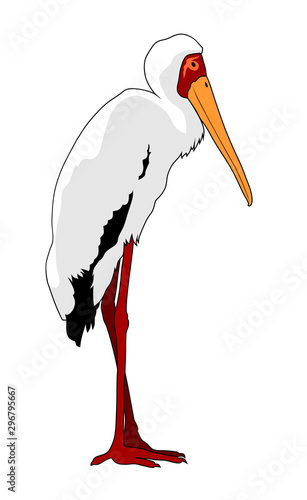Yellow billed stork