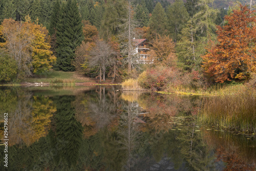 Fototapeta Naklejka Na Ścianę i Meble -  autumn in the wood Trentino, Cei lake, nature and colors