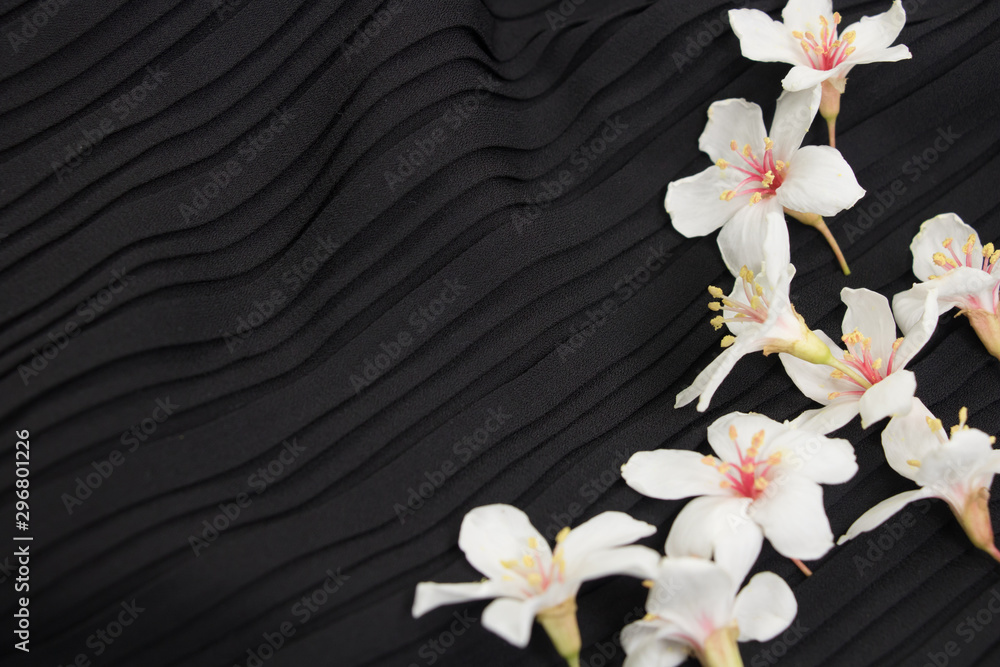 Obraz premium A close-up view of tung blossoms on a black background.