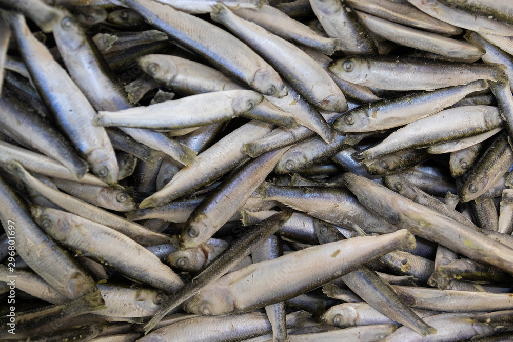 Fototapeta premium Restaurant or home cooking fish ingredient. Anchovy, sprat or capelin seafood background, elevated view.