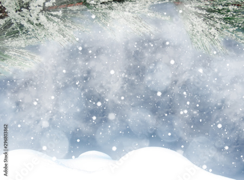 winter christmas background with snow and fir branches frame