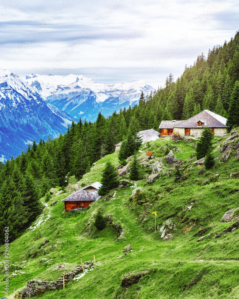 Classical Swiss rural landscape. Wooden mountain cabins in highlands over Grindelwald village in Switzerland. 5x7 aspect ratio photo for instagram.