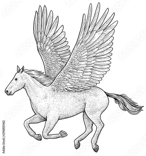 Pegasus illustration, drawing, engraving, ink, line art, vector