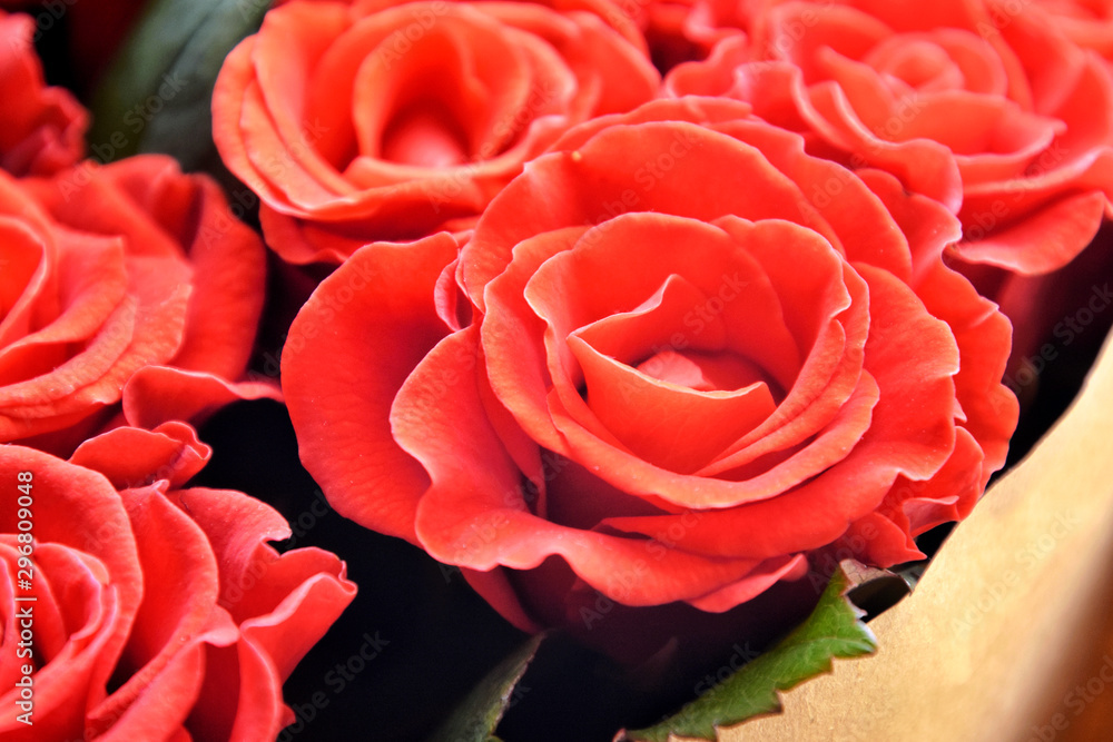 Red roses background. Bouquet beautiful red roses with selective focus in craft paper. Luxury bouquet made of amazing red roses. Valentines Bouquet of red roses. Present for Mother’s Day. Red roses background. Bouquet beautiful red roses with selective focus in craft paper. Luxury bouquet made of amazing red roses. Valentines Bouquet of red roses. Present for Mother’s Day.