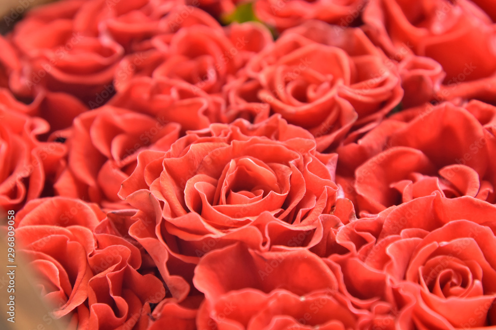 Red roses background. Bouquet beautiful red roses with selective focus in craft paper. Luxury bouquet made of amazing red roses. Valentines Bouquet of red roses. Present for Mother’s Day. Red roses background. Bouquet beautiful red roses with selective focus in craft paper. Luxury bouquet made of amazing red roses. Valentines Bouquet of red roses. Present for Mother’s Day.