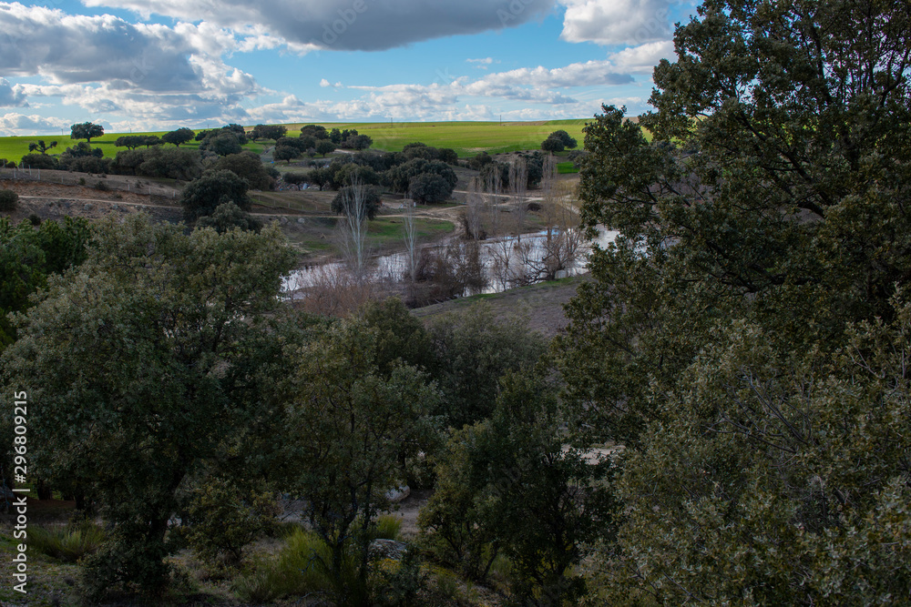 Fototapeta premium INVIERNO EN CASTILLA