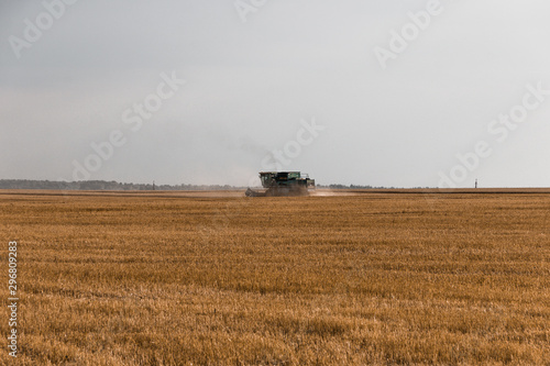 harvester working in the field. Removes wheat from the fields © Дима Нечаев
