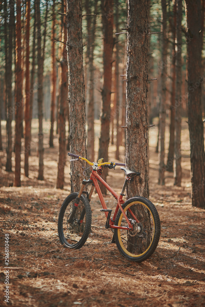 mountain bike in the forest