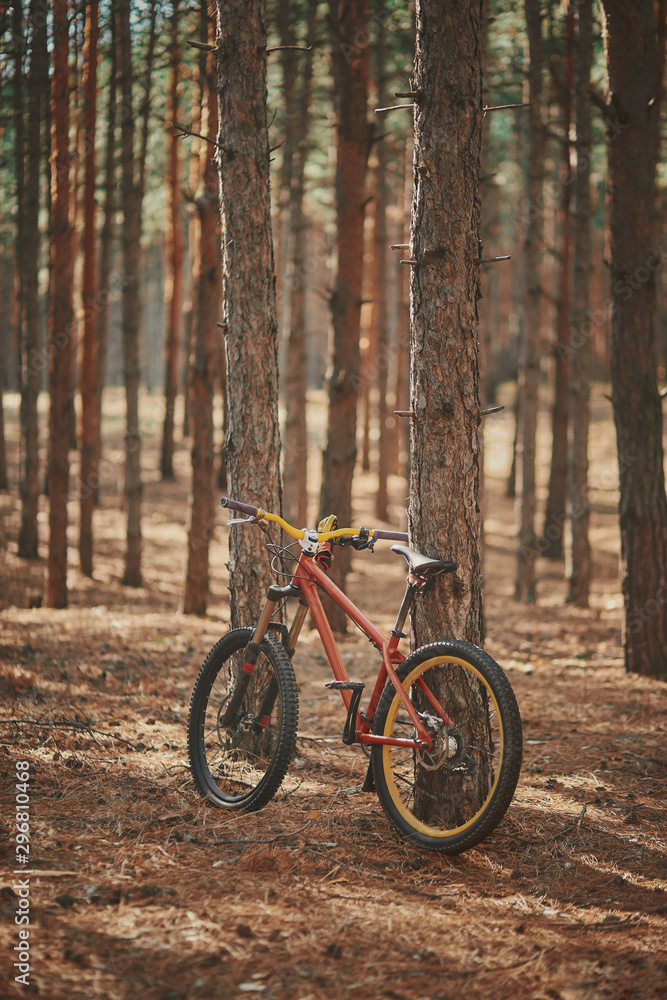 Fototapeta premium mountain bike in the forest
