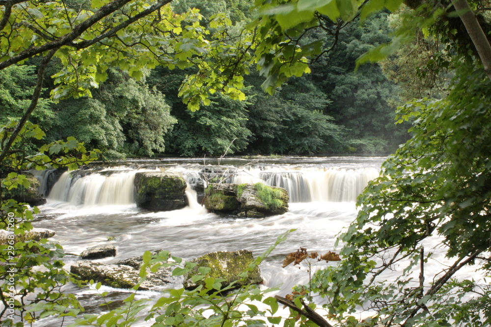 Obraz premium waterfall in forest aysgarth