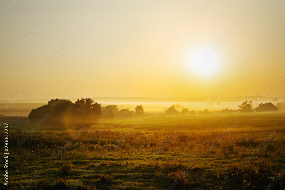 Foggy meadows at sunrise summer background. Lens flare and calm mood