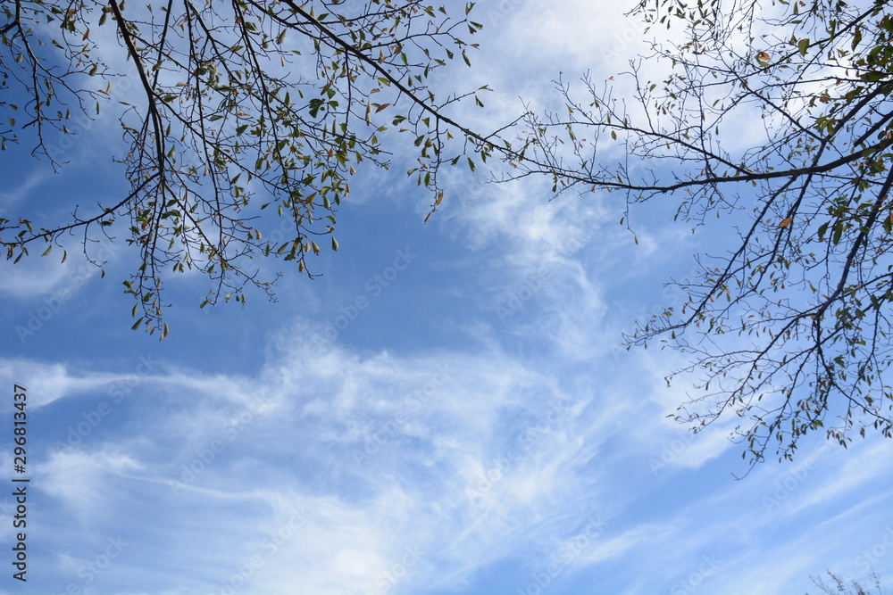 Background material. September Sky / Hot summer is over and it is autumn, the sky is deep blue and the trees are in autumn. Background material. September Sky / Hot summer is over and it is autumn, the sky is deep blue and the trees are in autumn.