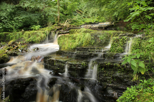 waterfall in the forest reeth north yorkshire