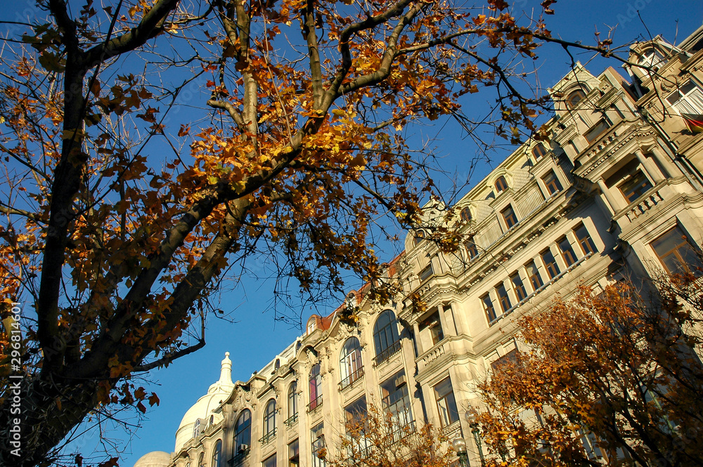 Obraz premium Aliados avenue in Oporto