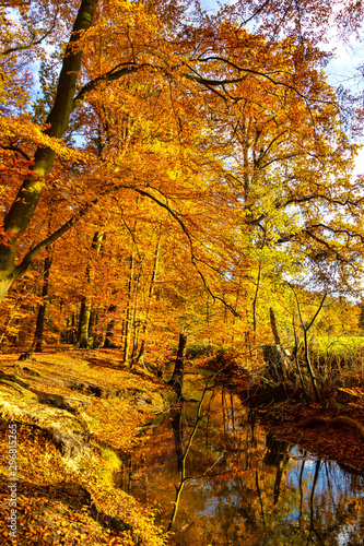 Herbst am Bach