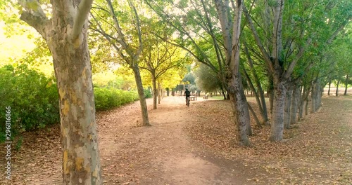 sendero para paseo campestre con árboles en otoño photo