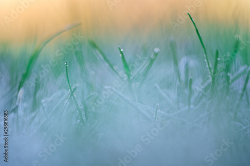 Wiese im Schnee bei Sonnenaufgang