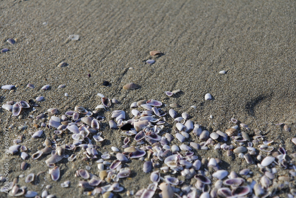 Sea and sand at Mediterranean coast of Italy. Beautiful Toscana Sea and sand at Mediterranean coast of Italy. Beautiful Toscana